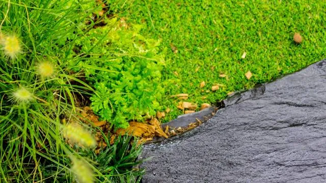 Hidden Waters Nature Park