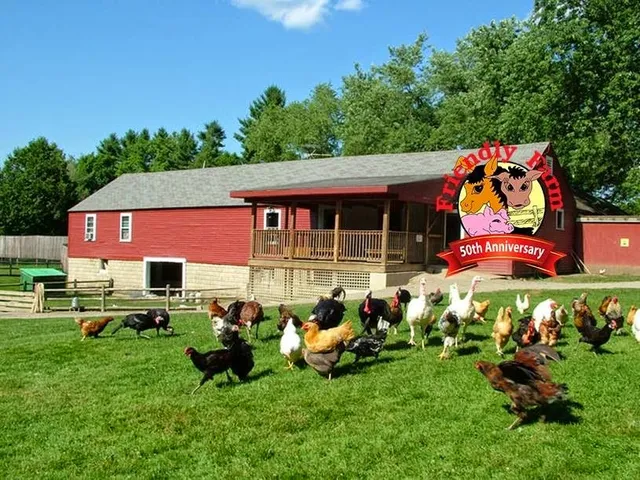 The Friendly Farm