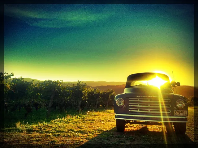 Willamette Valley Vineyards - Tualatin Estate