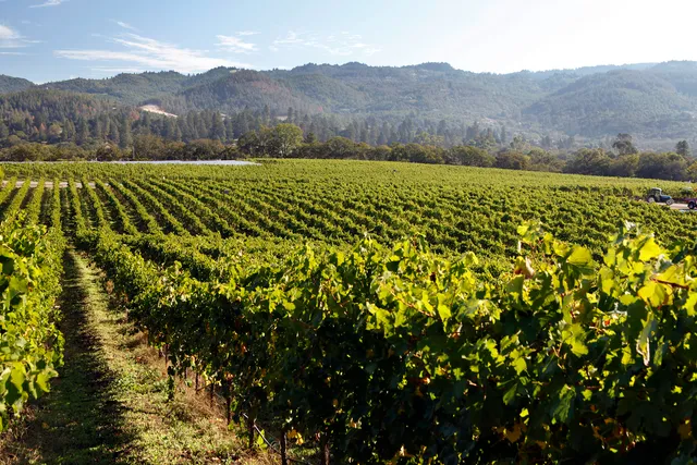 Lasseter Family Winery