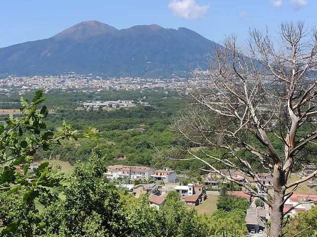 Parco Naturale Bosco Crocelle