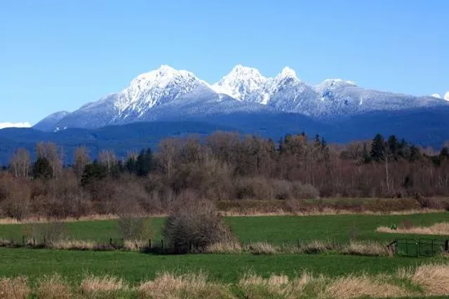 Golden Ears