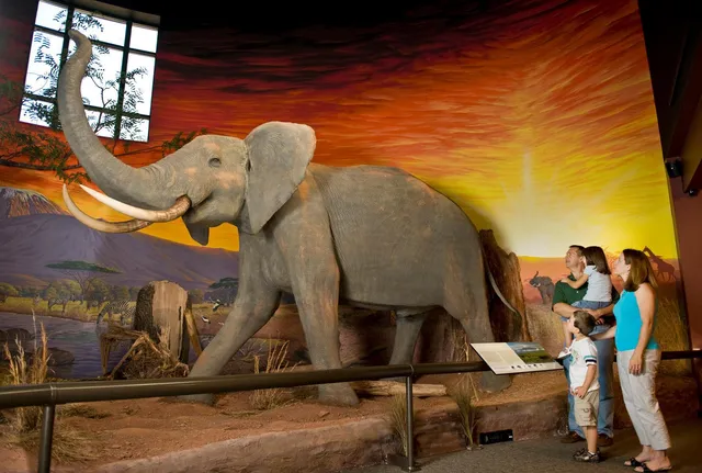 Oakes Museum of Natural History