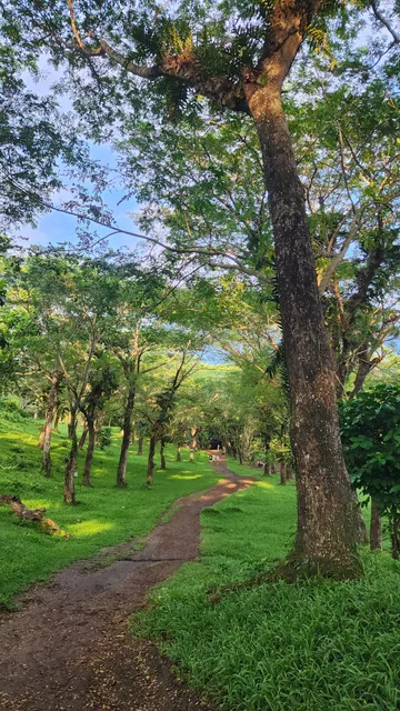 St. Padre Pio Green Valley