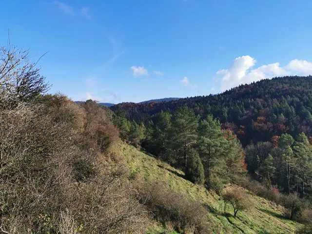 Schottental bei Heldmannsberg