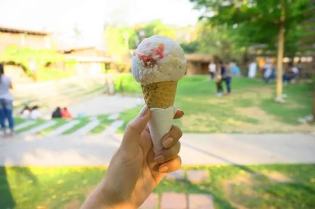 Helado Park