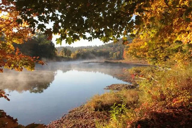 Albany Mountain Trail