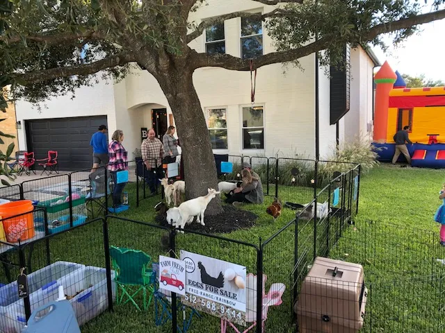 Homestead Mobile Petting Zoo & Party Rental