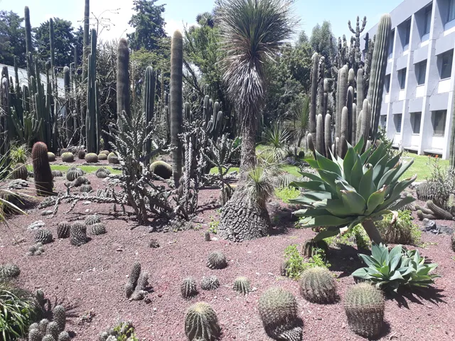 Iztacala Botanical Garden
