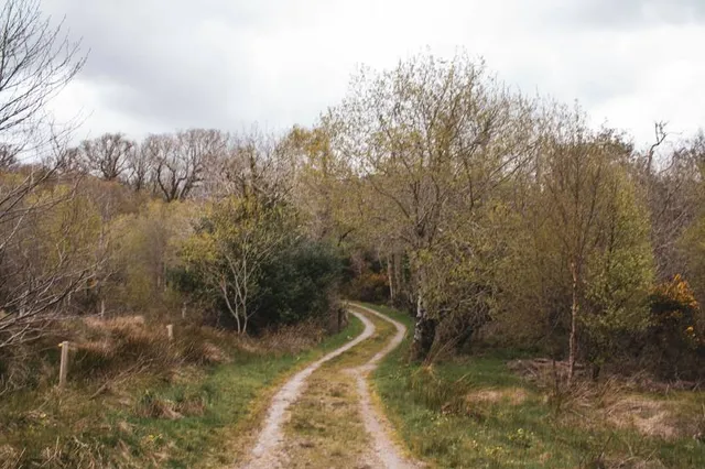 Joseph footbridge in Lobau