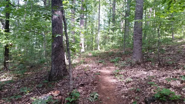 Miller Trek Trailhead