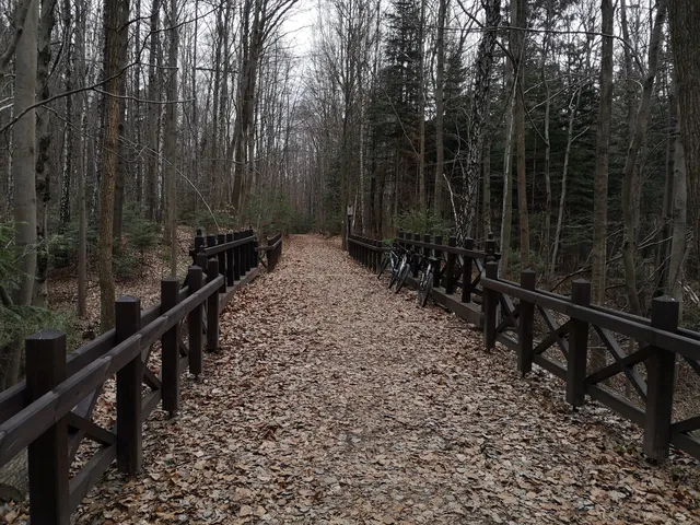 Szlak Kolejki Wąskotorowej