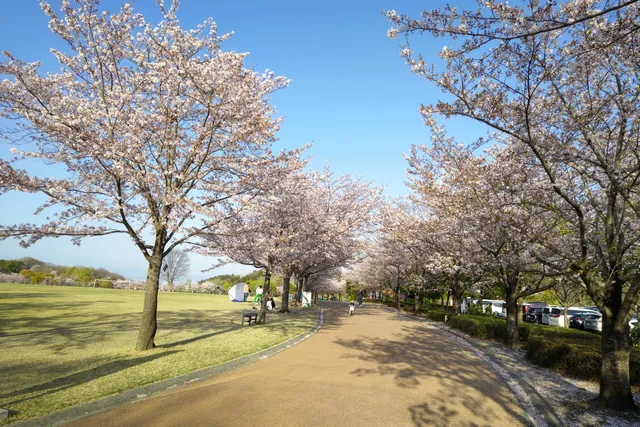 photo-2