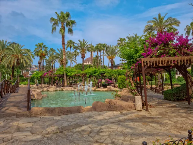 Alanya Belediyesi Kedi Parkı