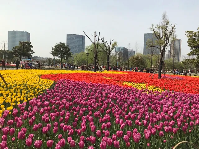 Daning Lingshi Park （West Gate）