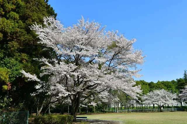 Shimoishigami Park