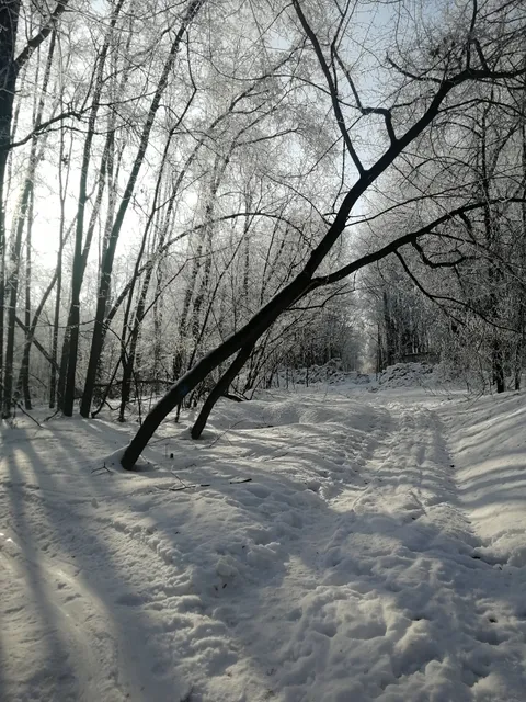 Park Imeni 60-Letiya Sovetskoy Vlasti