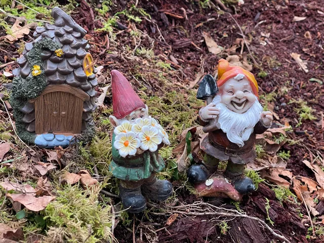 New Gnome Trail