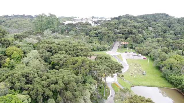 Parque Pinhal de Sant'Ana