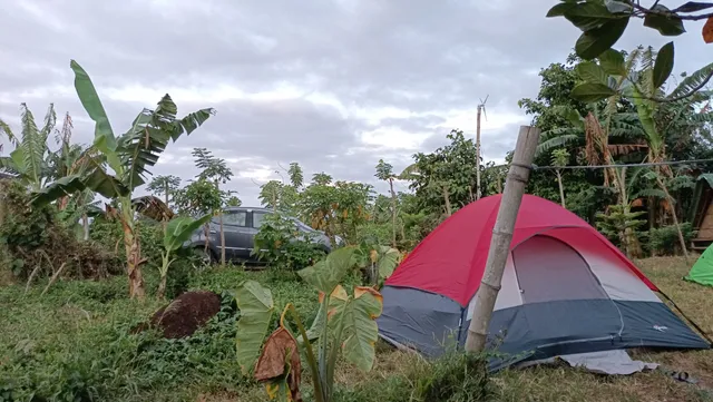 Wild Camp ni Wild Tuktuk