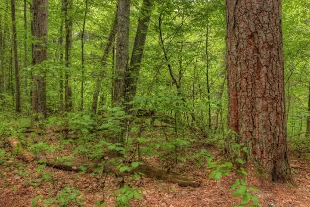 Lost 40 Scientific and Natural Area