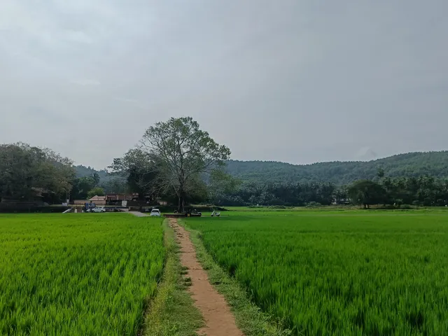Vazhalikkavu Bhagavathi Temple