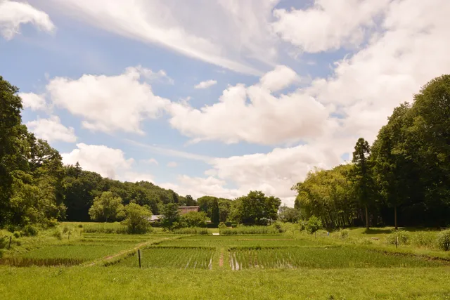 Tokyo Noyamakita-Rokudoyama Park Satoyama-Minka