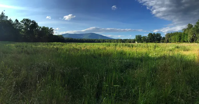 Thorn Preserve - Catskill Center