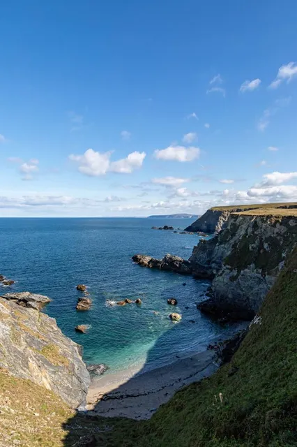 Mutton Cove (obserwacja fok)