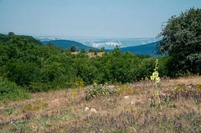 photo-2