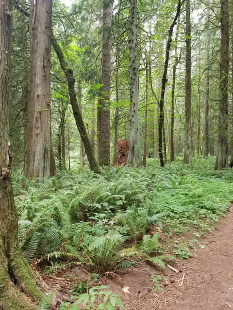 Salmon-Morgan Creeks Natural Area