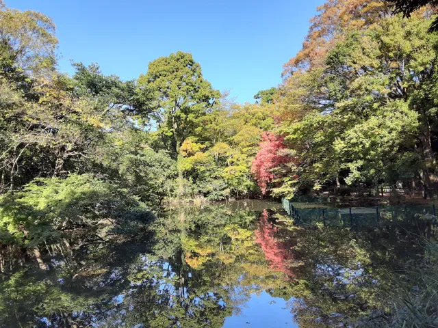 Wadabori Pond