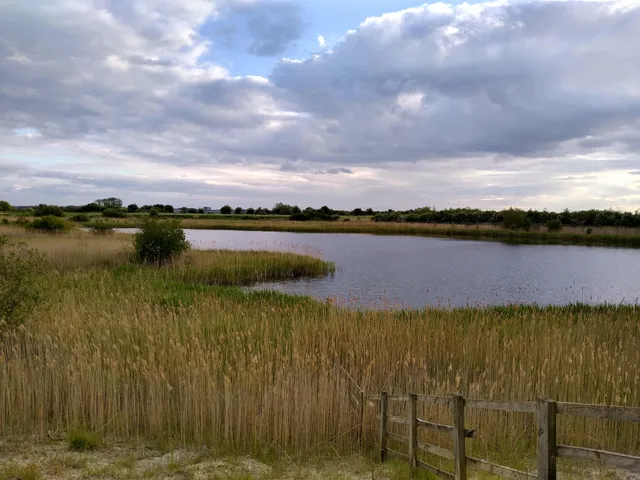 Fiskerton Fen Nature Reserve