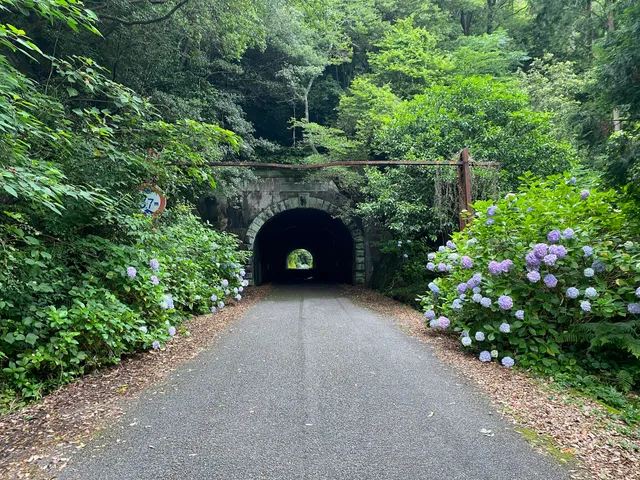 Matsuzaka Tunnel