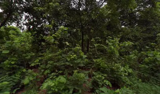 Rajaji National Park Canteen