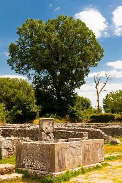 Site gallo-romain des Cars / Ruines des Cars