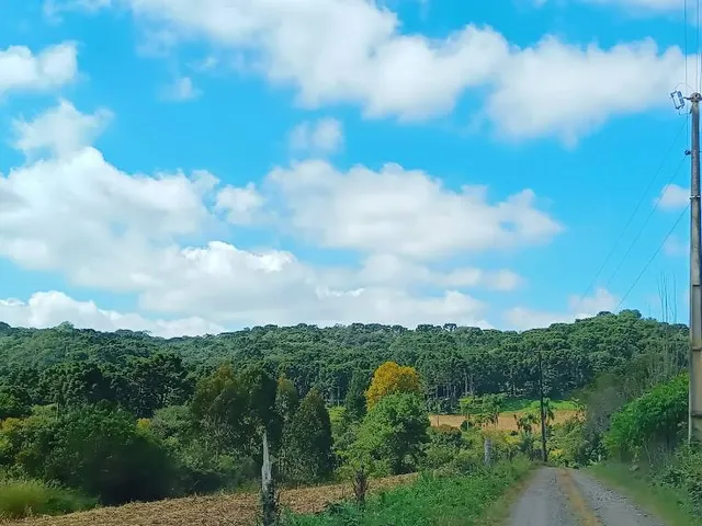 Experimental Botanical Garden