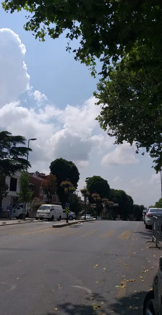 photo-3