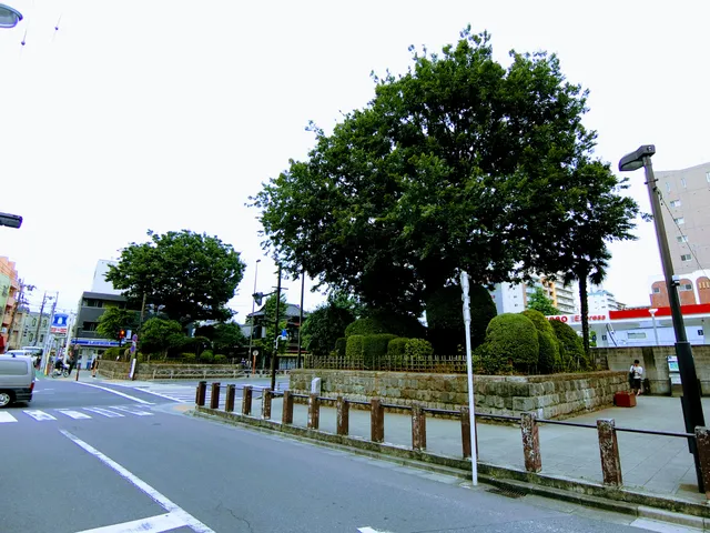 Shimura Ichiri Milestone