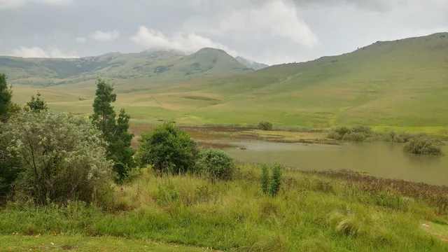 place image