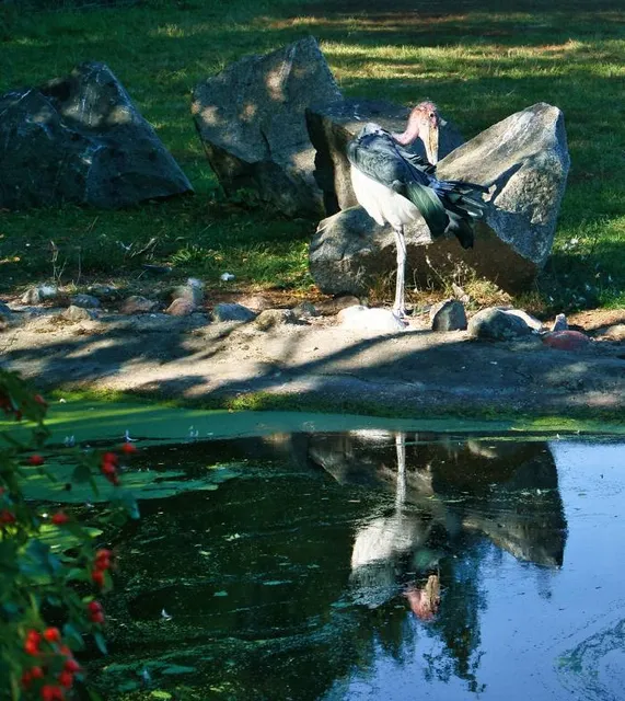 Parque Hacienda Aguacaliente