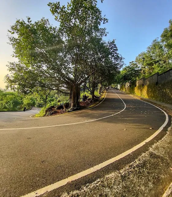 Eravathkunnu / Mango park