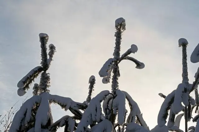 Rainbow Warrior Memorial