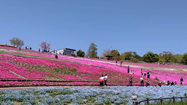 Ohta Hokubu Sports Park in Ota, Japan - reviews,open hours,photo spots ...