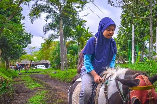 Wisata Kuda Pakuhaji Bandung