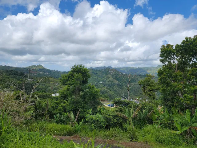 Centro Geográfico de Puerto Rico