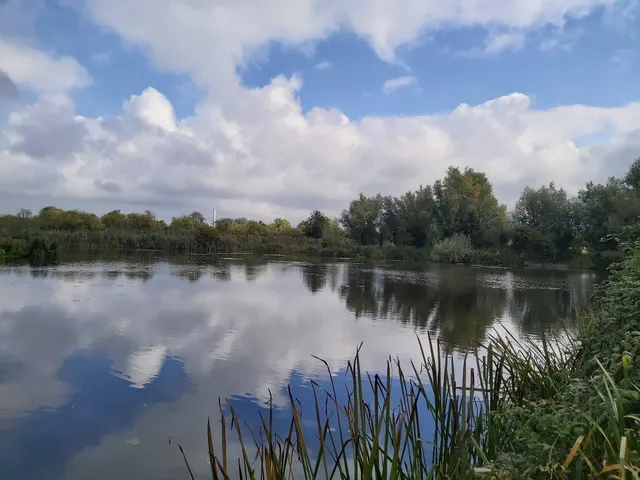 Roswell Pits Nature Reserve