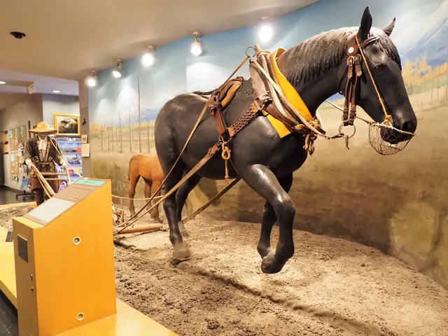 Horse Museum