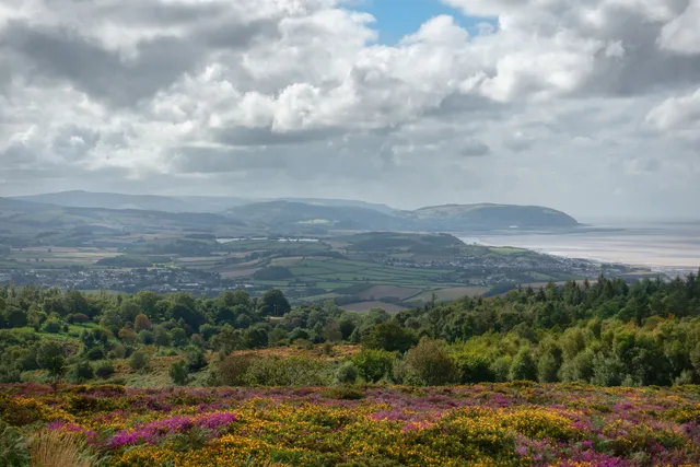Quantock Hills National Landscape