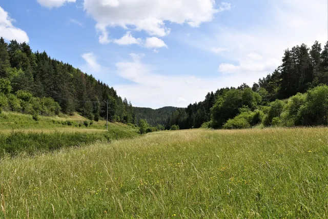 Rinntal bei Alfeld